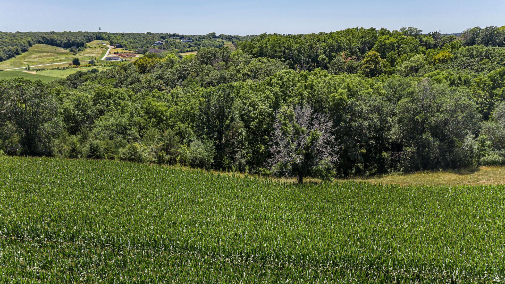 X Country Club Road West Rochester, MN 55902 - Photo 4 of 8