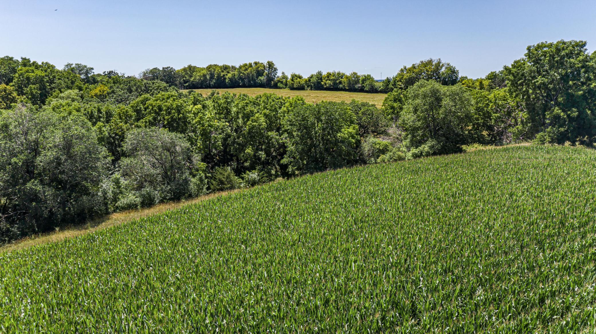 X Country Club Road West Rochester, MN 55902 - Photo 5 of 8