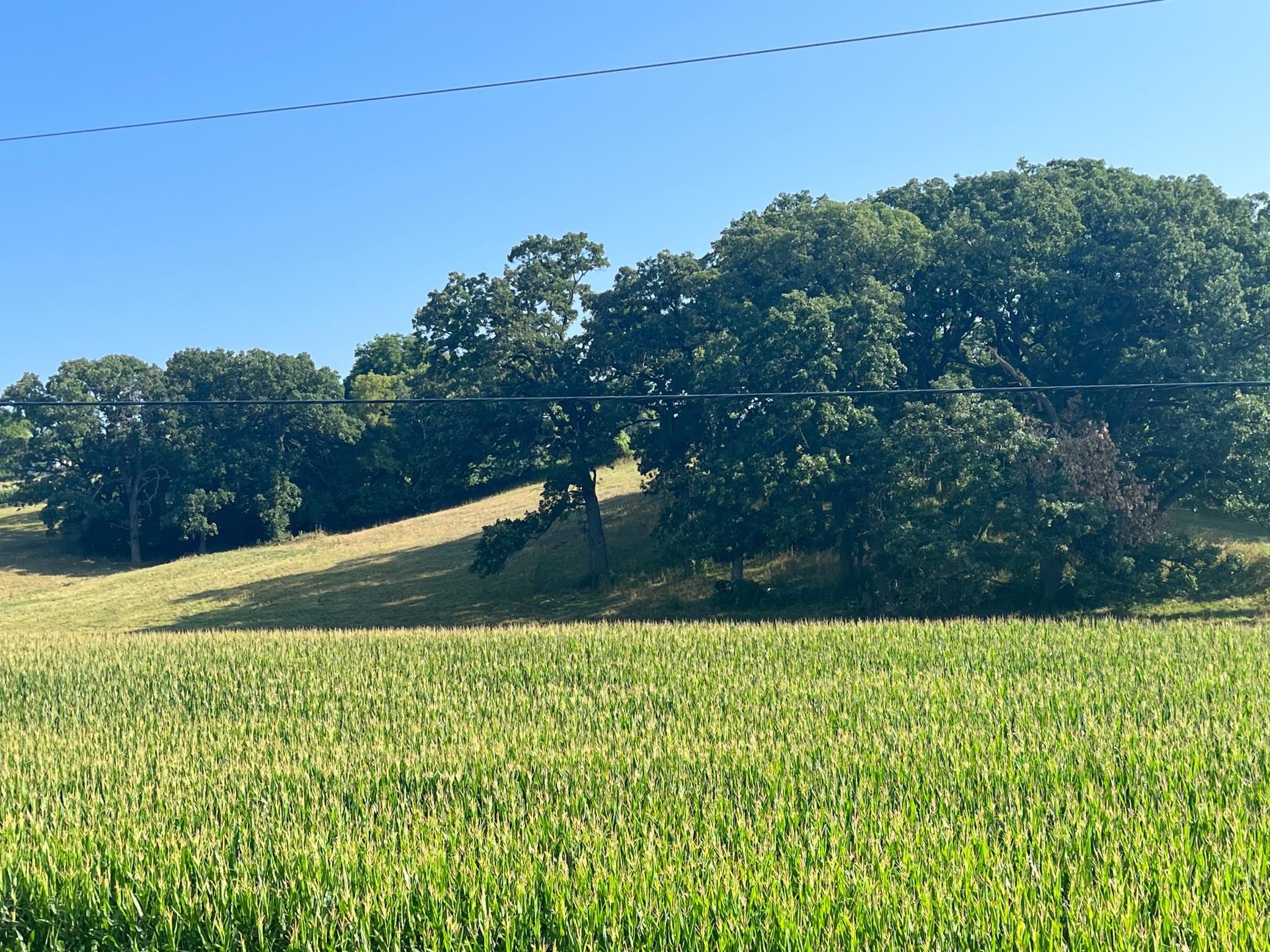 X Country Club Road West Rochester, MN 55902 - Photo 6 of 8