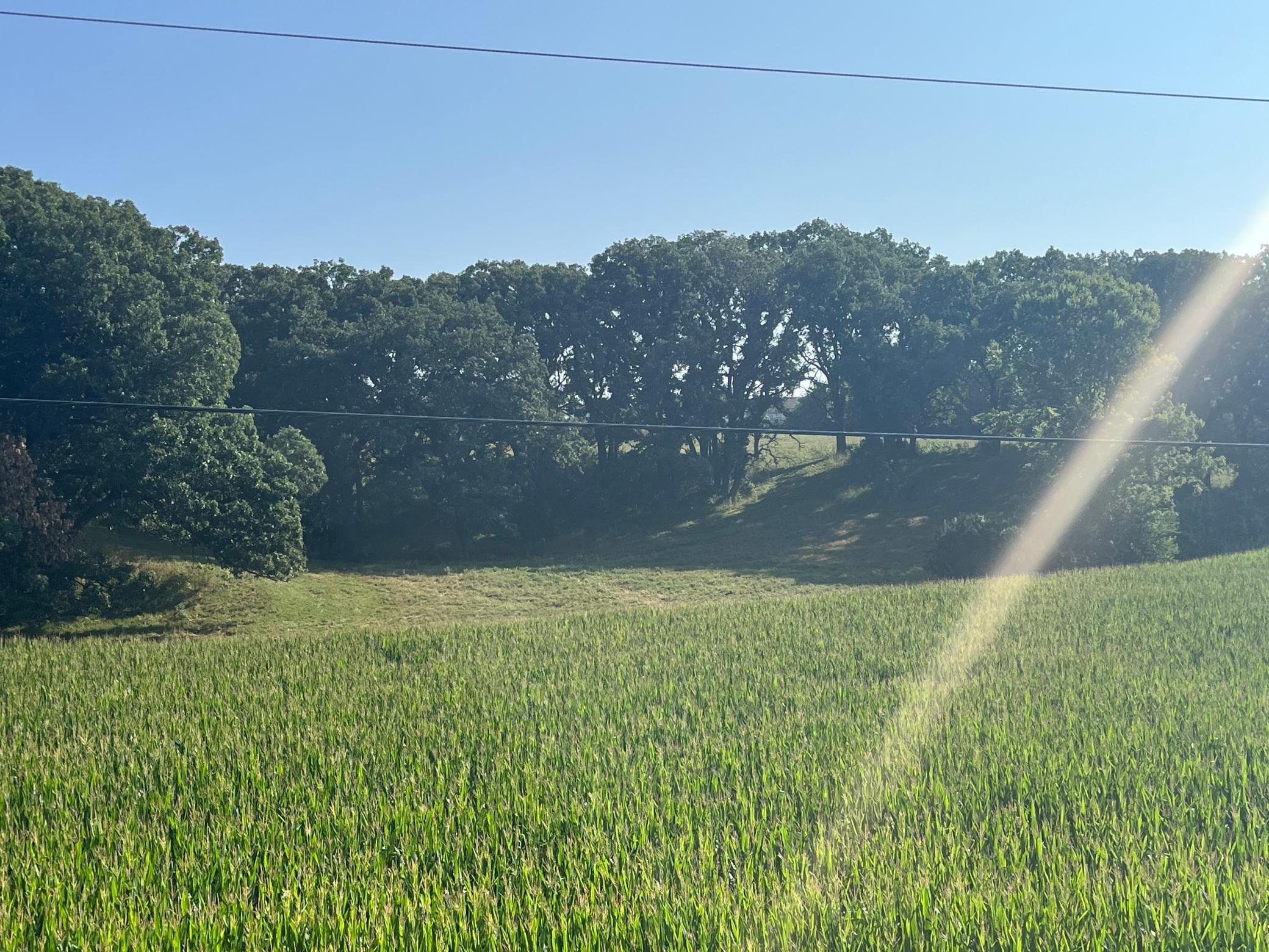 X Country Club Road West Rochester, MN 55902 - Photo 7 of 8