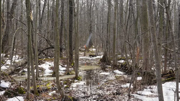 $230,000 | 40-ac 40-ac Kline Road, Hatley, WI 54440