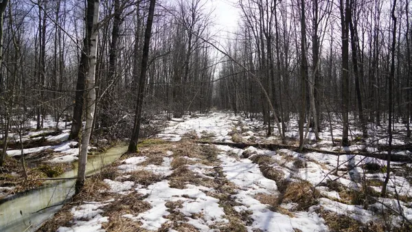 $230,000 | 40-ac 40-ac Kline Road, Hatley, WI 54440