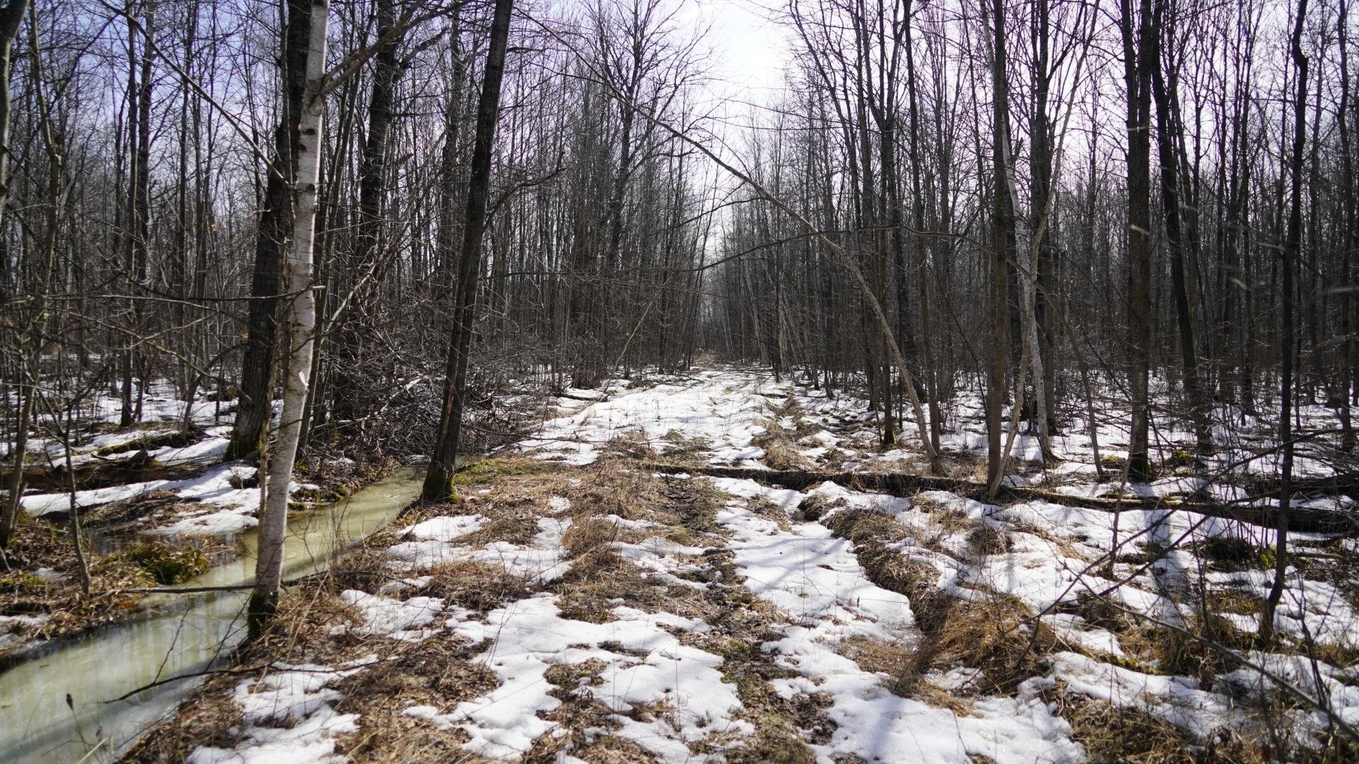 40-ac 40-ac Kline Road Hatley, WI 54440 - Photo 23 of 29