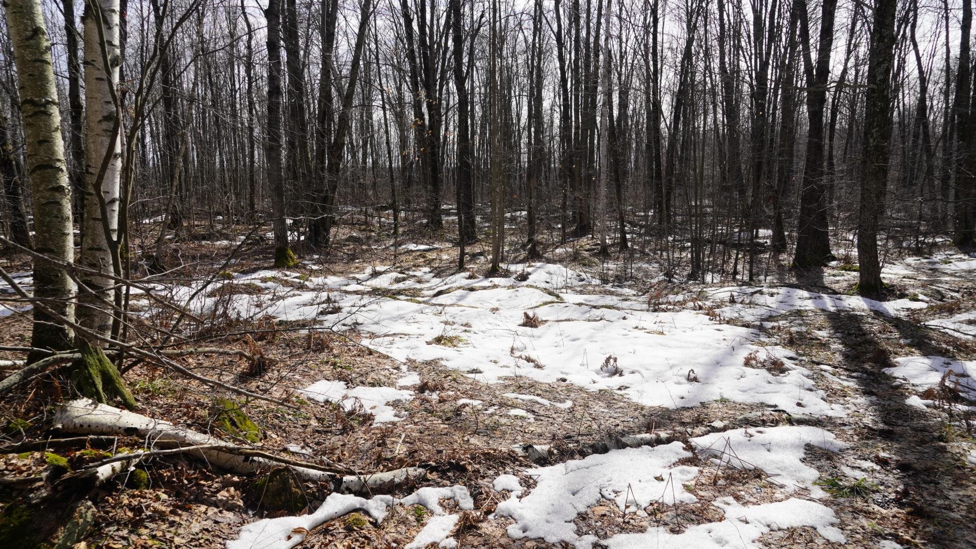 40-ac 40-ac Kline Road Hatley, WI 54440 - Photo 24 of 29