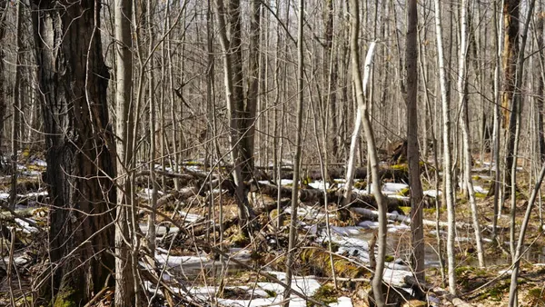 $230,000 | 40-ac 40-ac Kline Road, Hatley, WI 54440