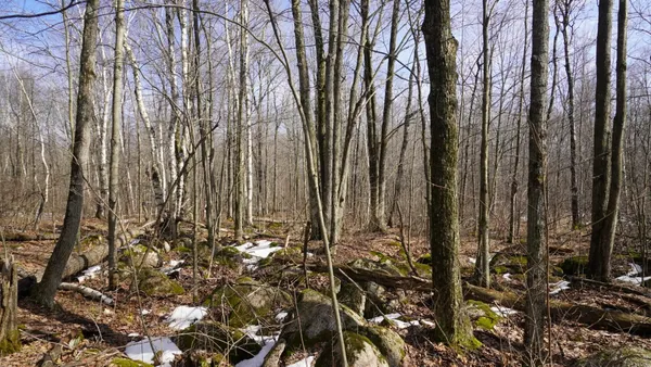 $230,000 | 40-ac 40-ac Kline Road, Hatley, WI 54440