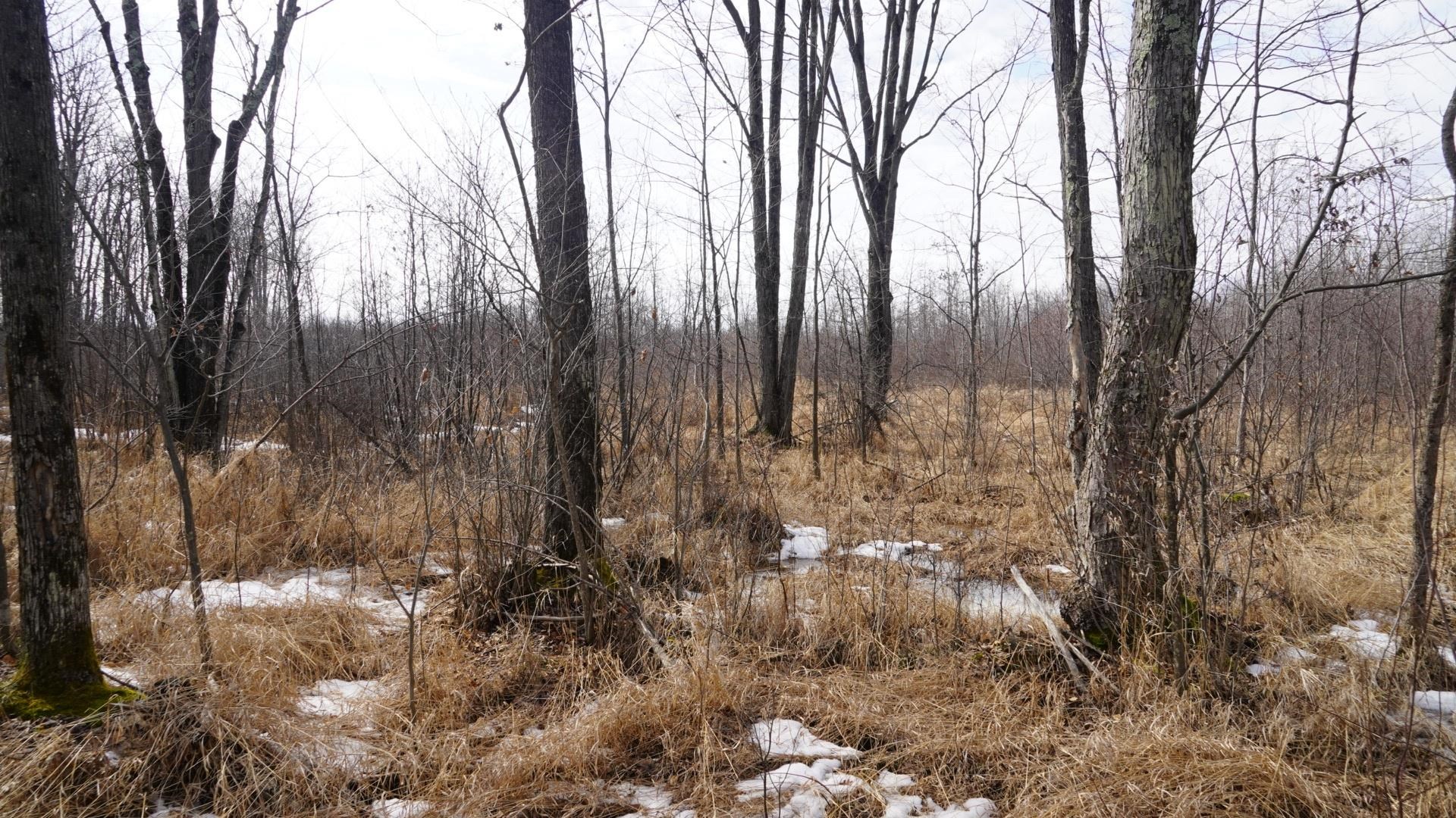 40-ac 40-ac Kline Road Hatley, WI 54440 - Photo 9 of 29