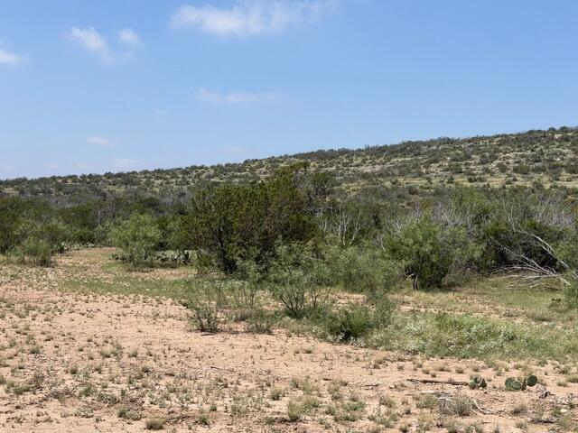 217 Eastwood Road Comstock, TX 78837 - Photo 3 of 6 IMG_0373