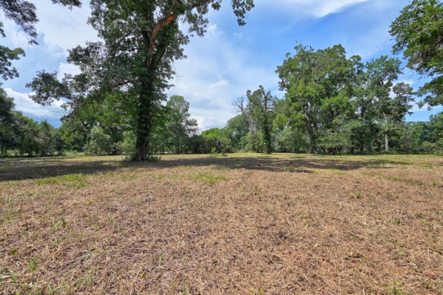 Tbd Pryor Road Brookshire, TX 77423 - Photo 19 of 31 Gallery Image 19