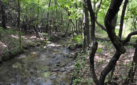 Ranger Estates Road Murphy, NC 28906 - Photo 1 of 1 Main View