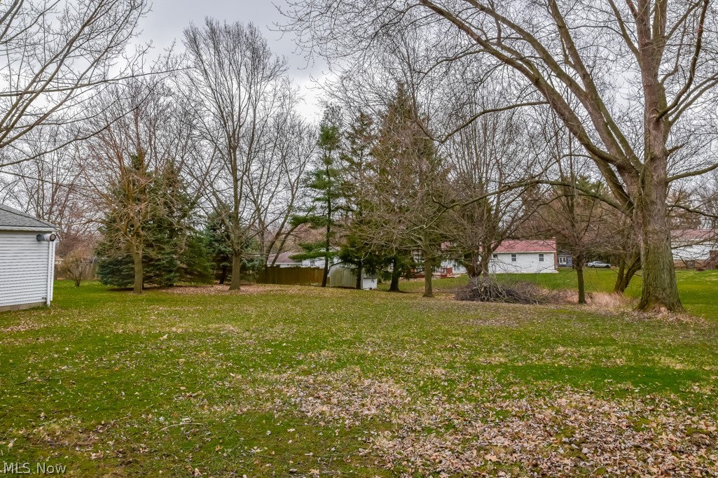 480 Rufener Street Rittman, OH 44270 - Photo 18 of 20 Backyard