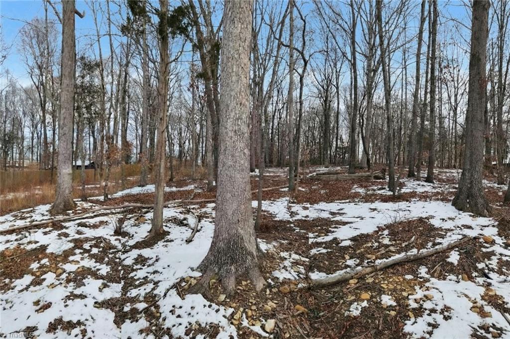 5042 Jordan Valley Road Trinity, NC 27370 - Photo 26 of 33