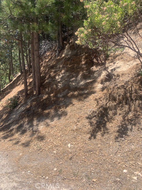 27346 North Bay Road Lake Arrowhead, CA 92352 - Photo 2 of 4