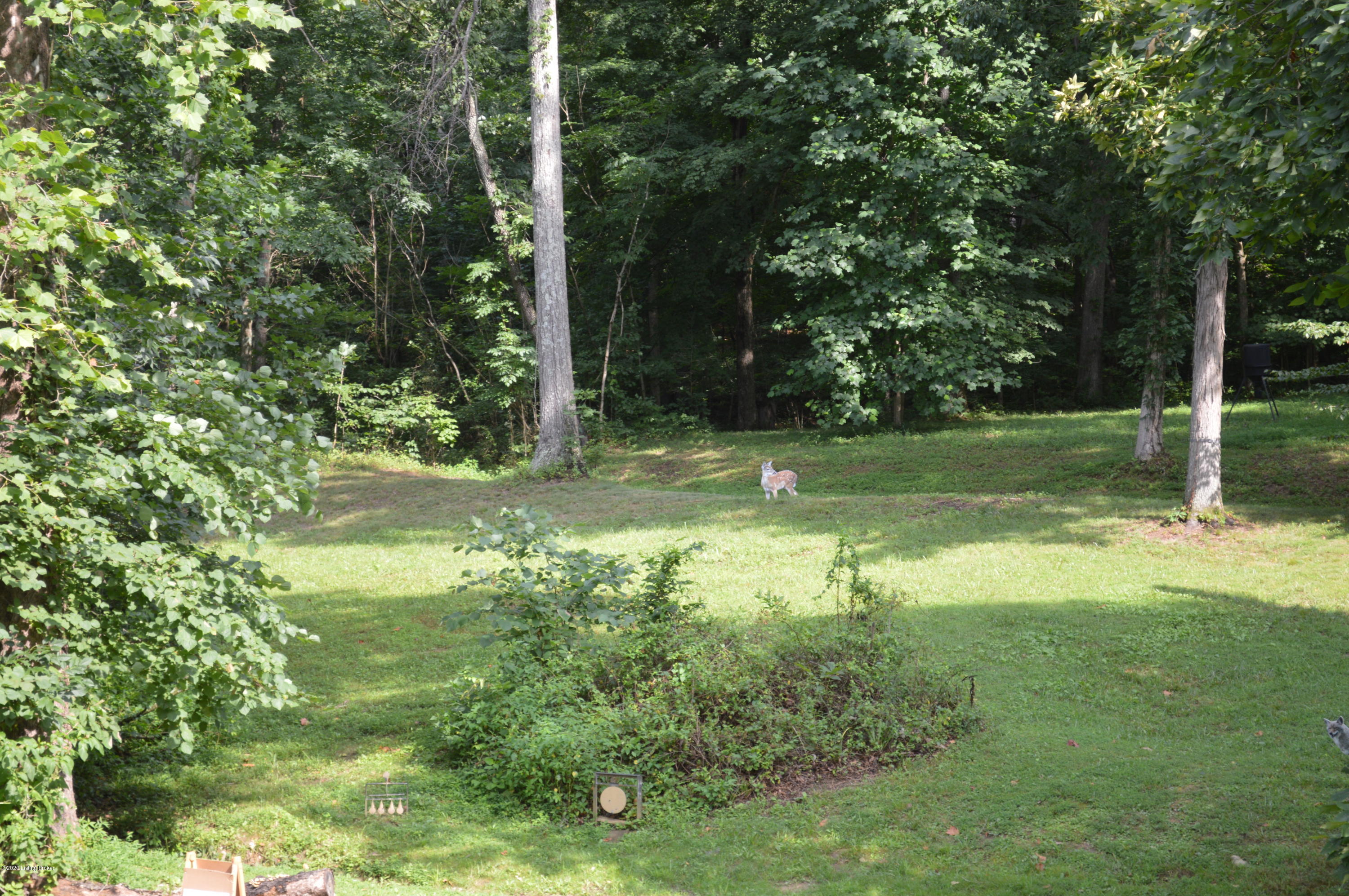 468 Garriott Road Bedford, KY 40006 - Photo 30 of 42 DSC_0183
