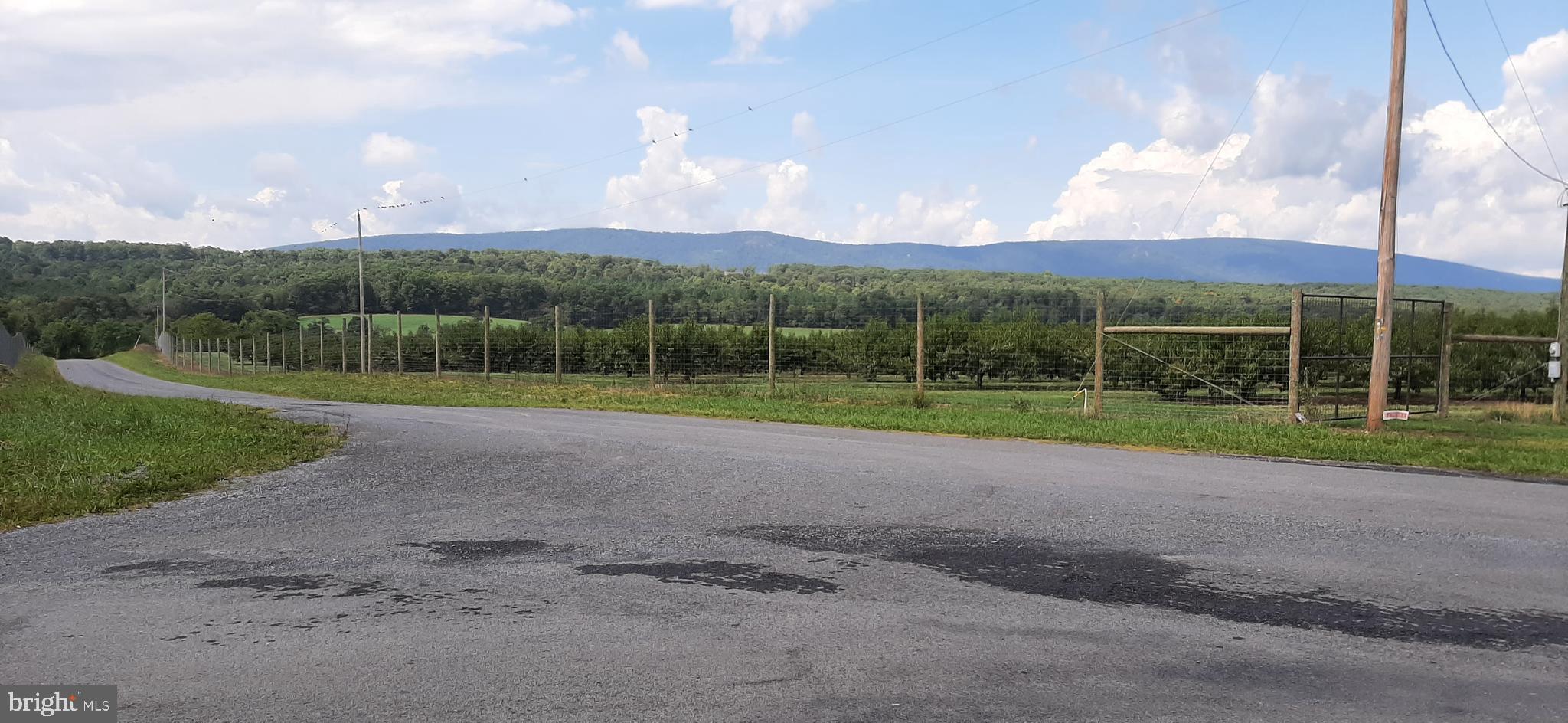 1610 New Hope Road Cross Junction, VA 22625 - Photo 16 of 16