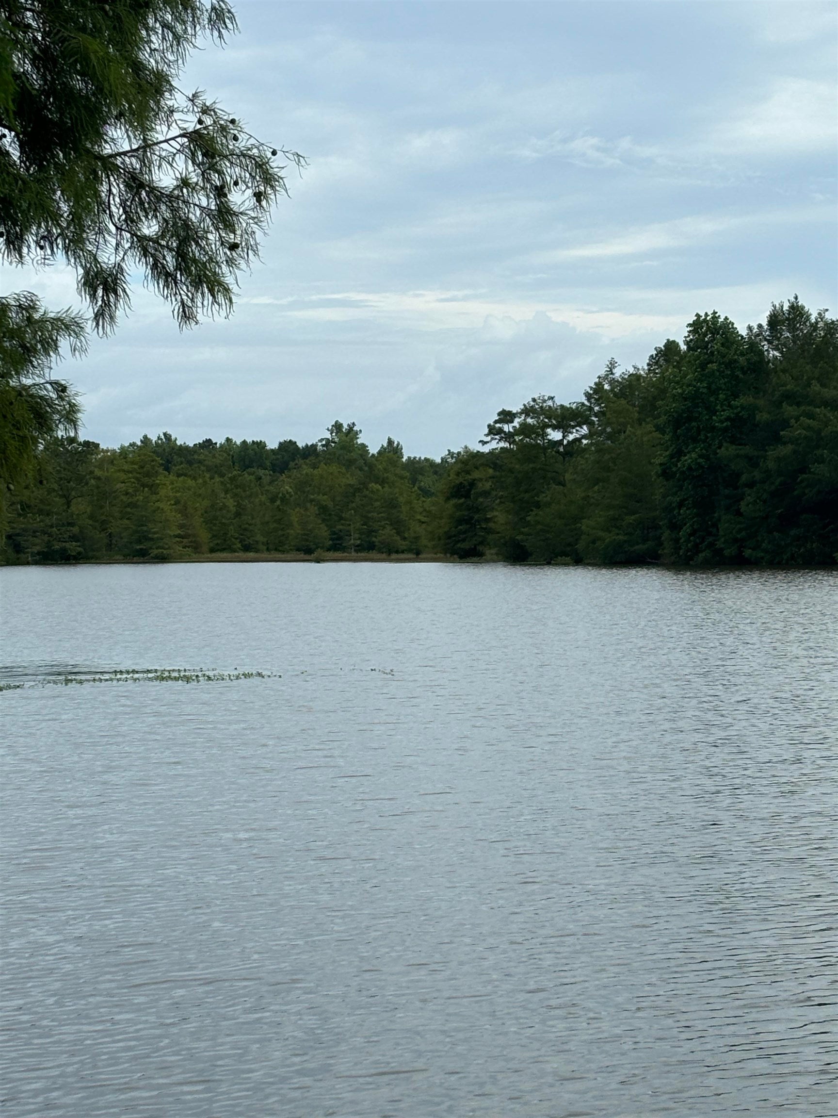 26614 Bridge Lane Andalusia, AL 36421 - Photo 23 of 29 Gallery Image 23