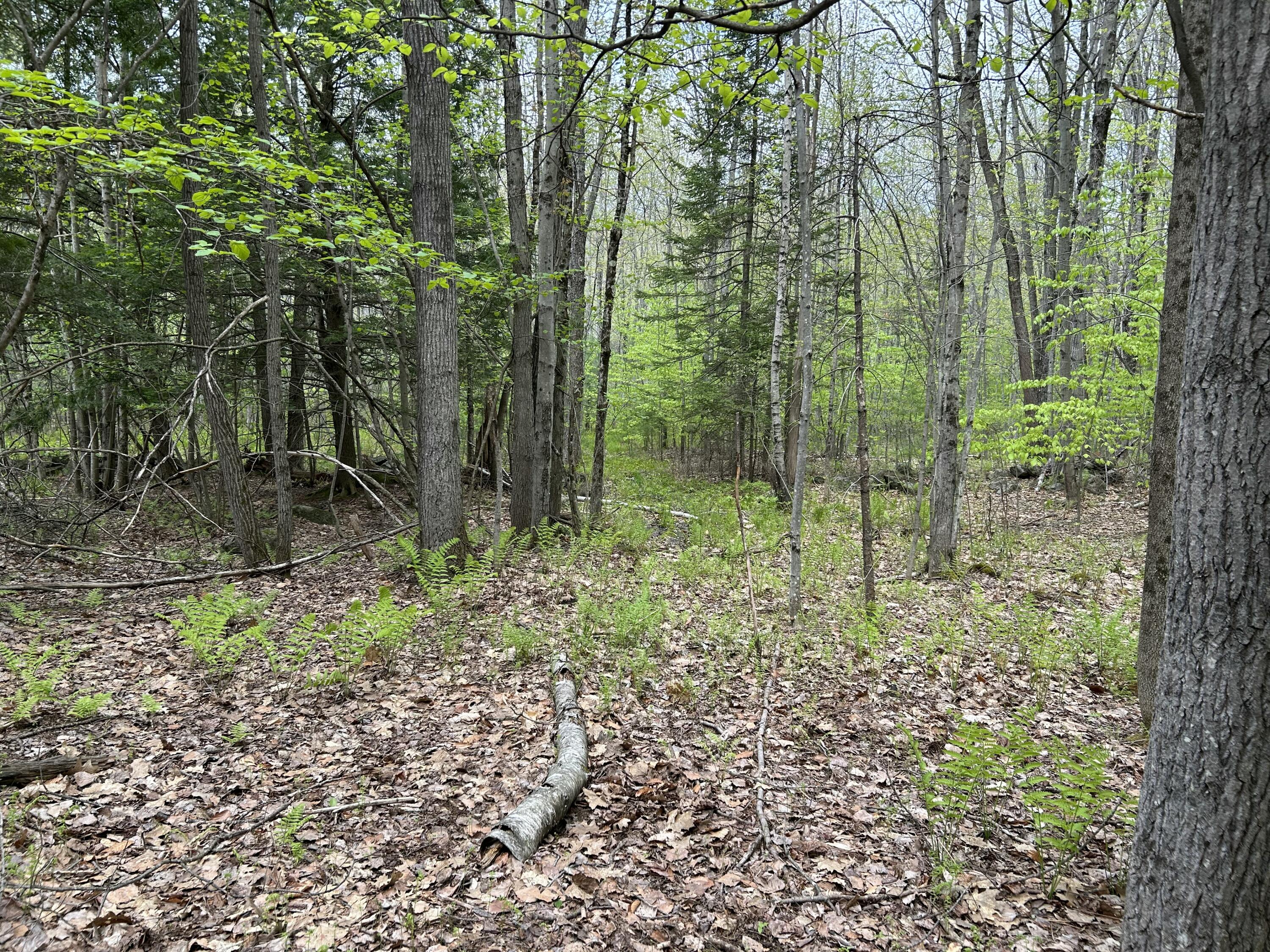 281 Randall Road Lewiston, ME 04240 - Photo 28 of 31