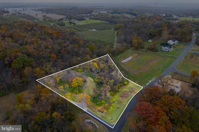 an aerial view of a forest