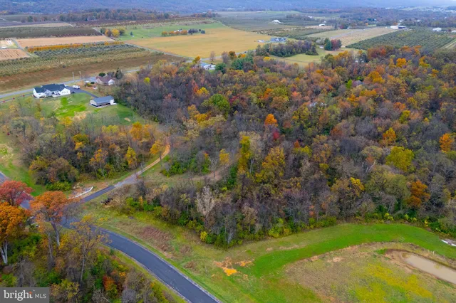 a view of a lake with a mountain