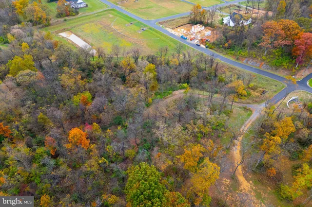 a view of a flower in a garden