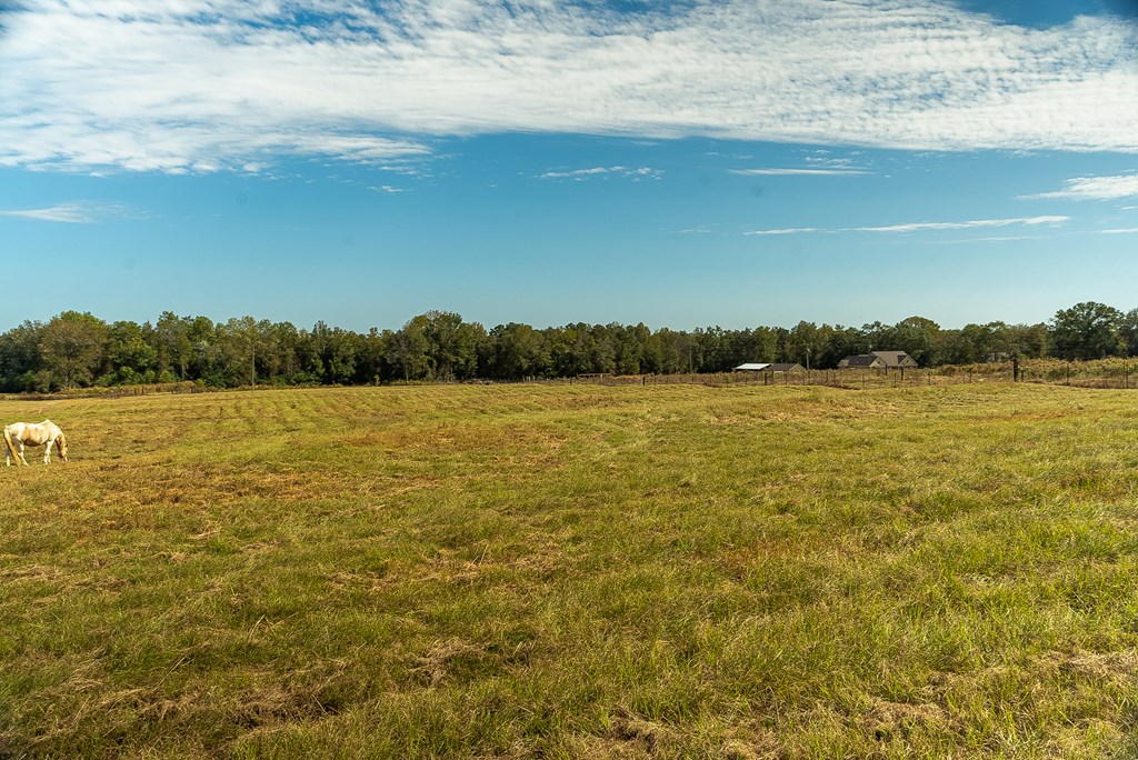 0 J B J B Jackson Road Webb, AL 36376 - Photo 10 of 38