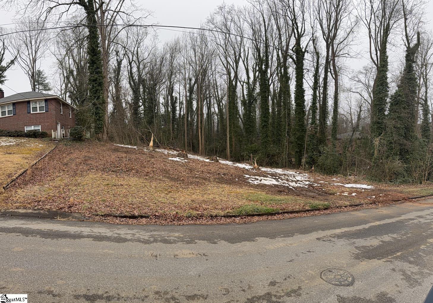 209 Anthony Road Spartanburg, SC 29301 - Photo 4 of 9