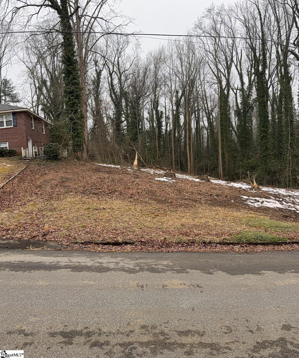 209 Anthony Road Spartanburg, SC 29301 - Photo 5 of 9