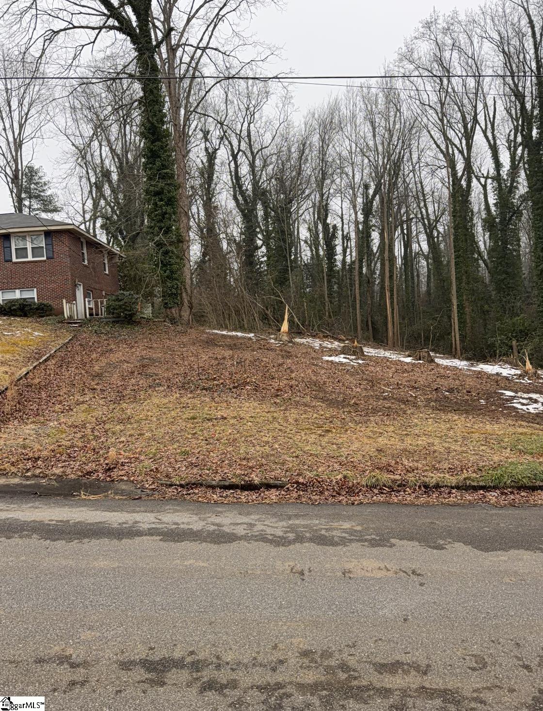 209 Anthony Road Spartanburg, SC 29301 - Photo 6 of 9