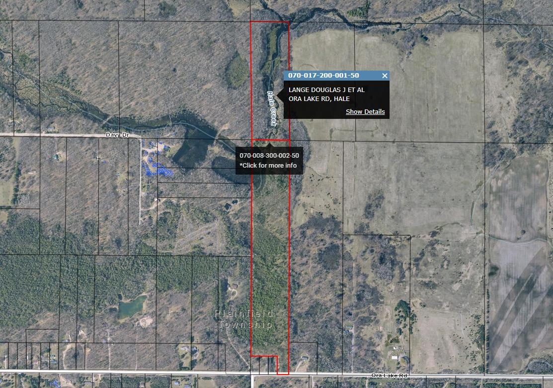 0 Ora Lake Road Hale, MI 48739 - Photo 1 of 22