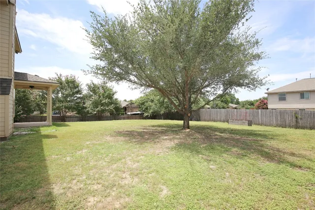 a view of a backyard with large trees