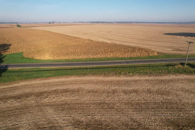 a view of a dry yard