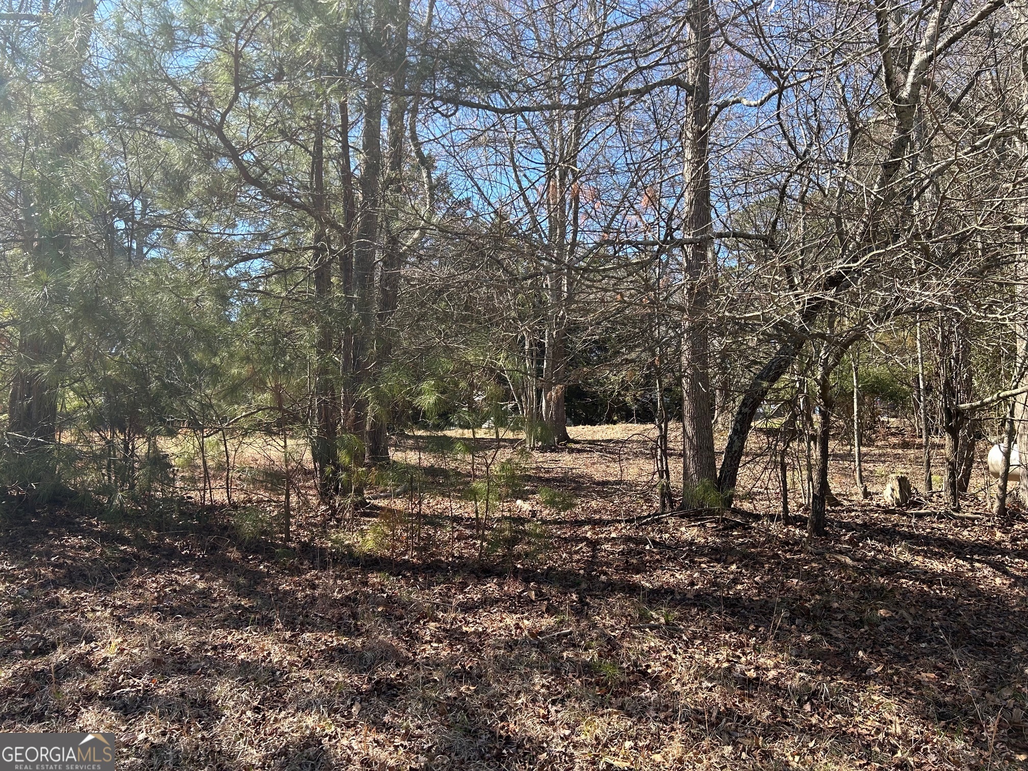 6550 Old Garrett Road Buford, GA 30518 - Photo 2 of 8