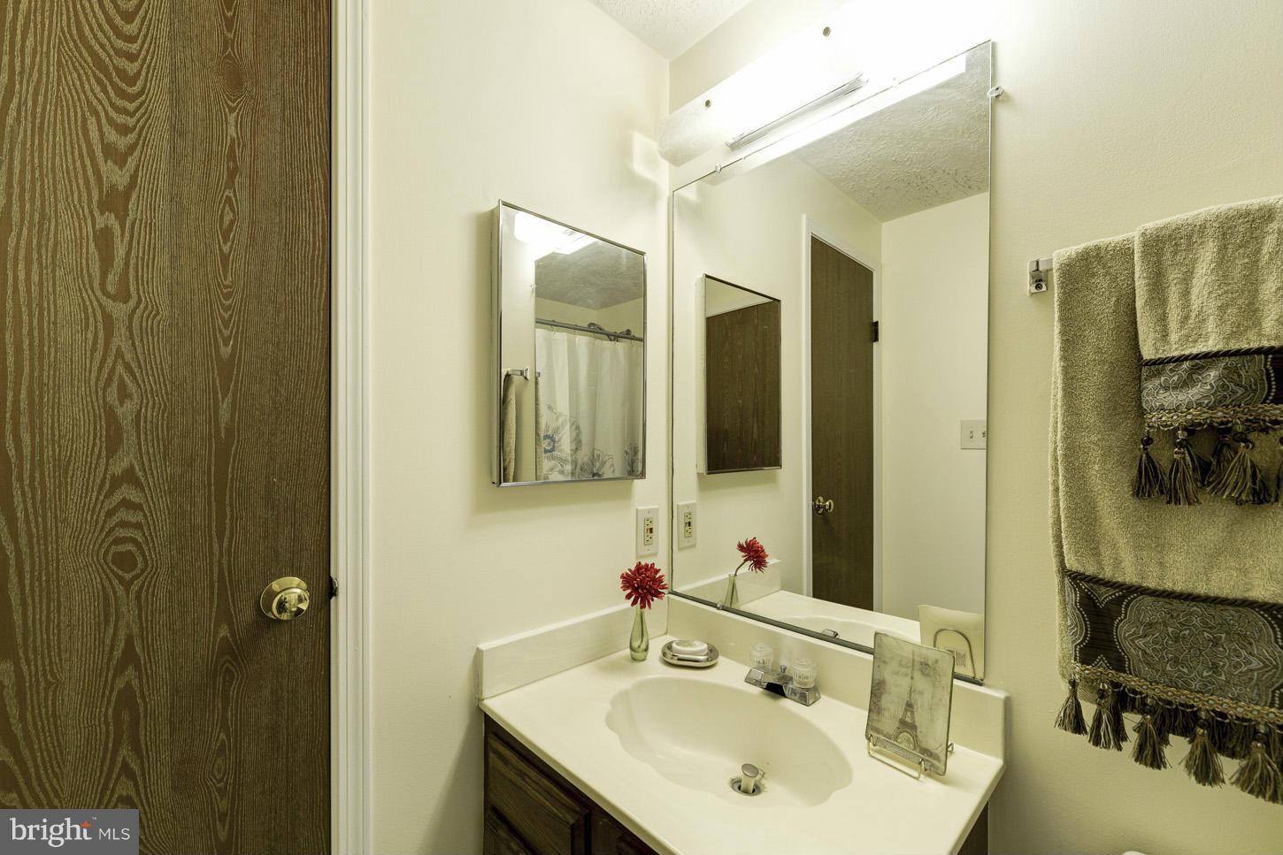 11225 Legato Way Silver Spring, MD 20901 - Photo 19 of 23 Bath (Master)
