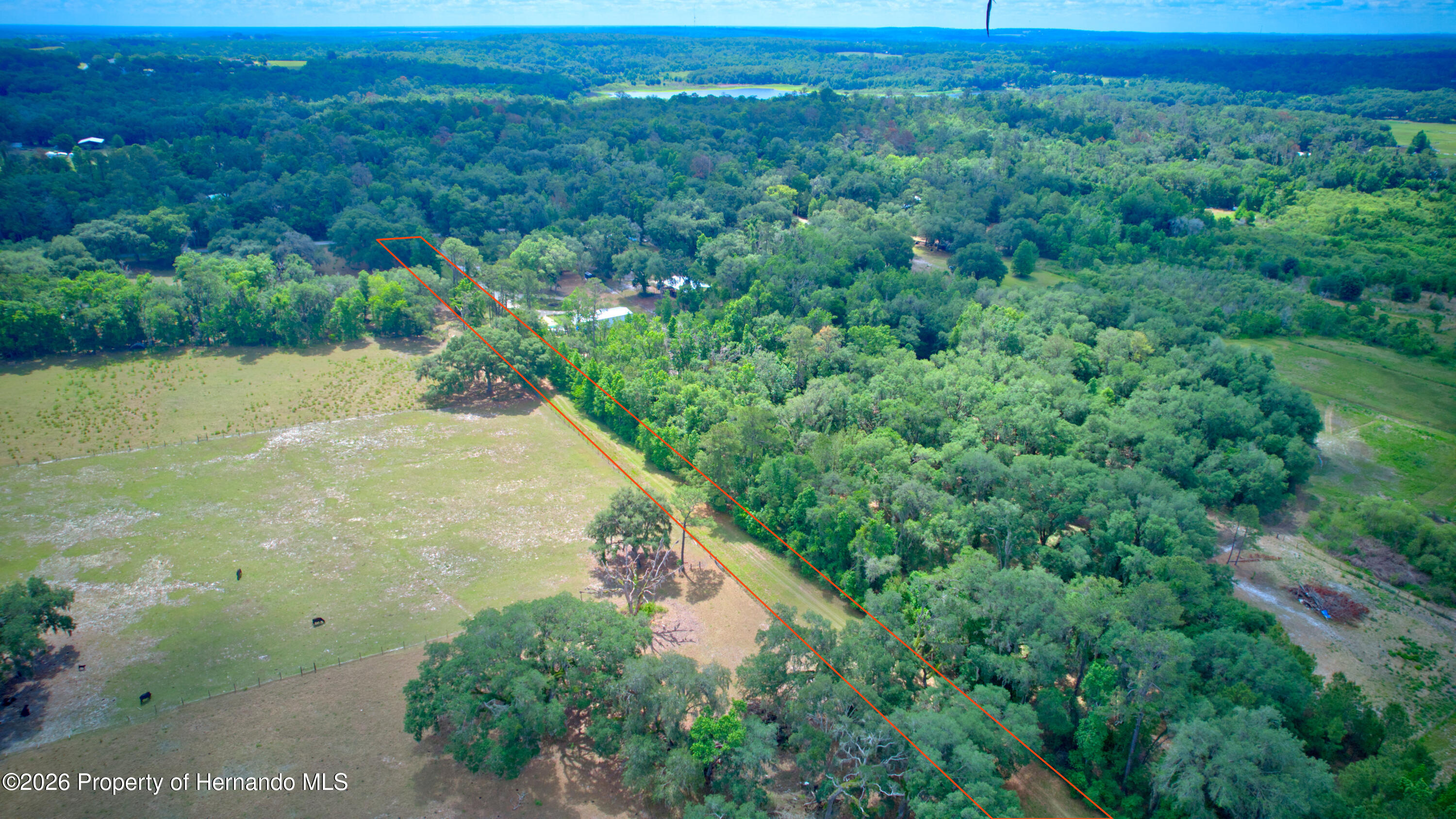 3267 Neff Lk Road Brooksville, FL 34602 - Photo 10 of 82