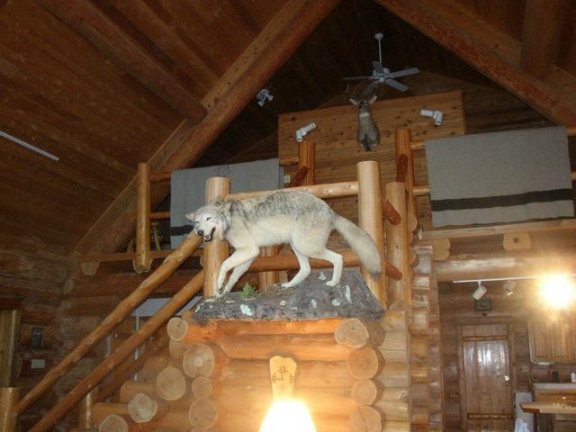 2450 Keyes Island International Falls, MN 56649 - Photo 7 of 23
