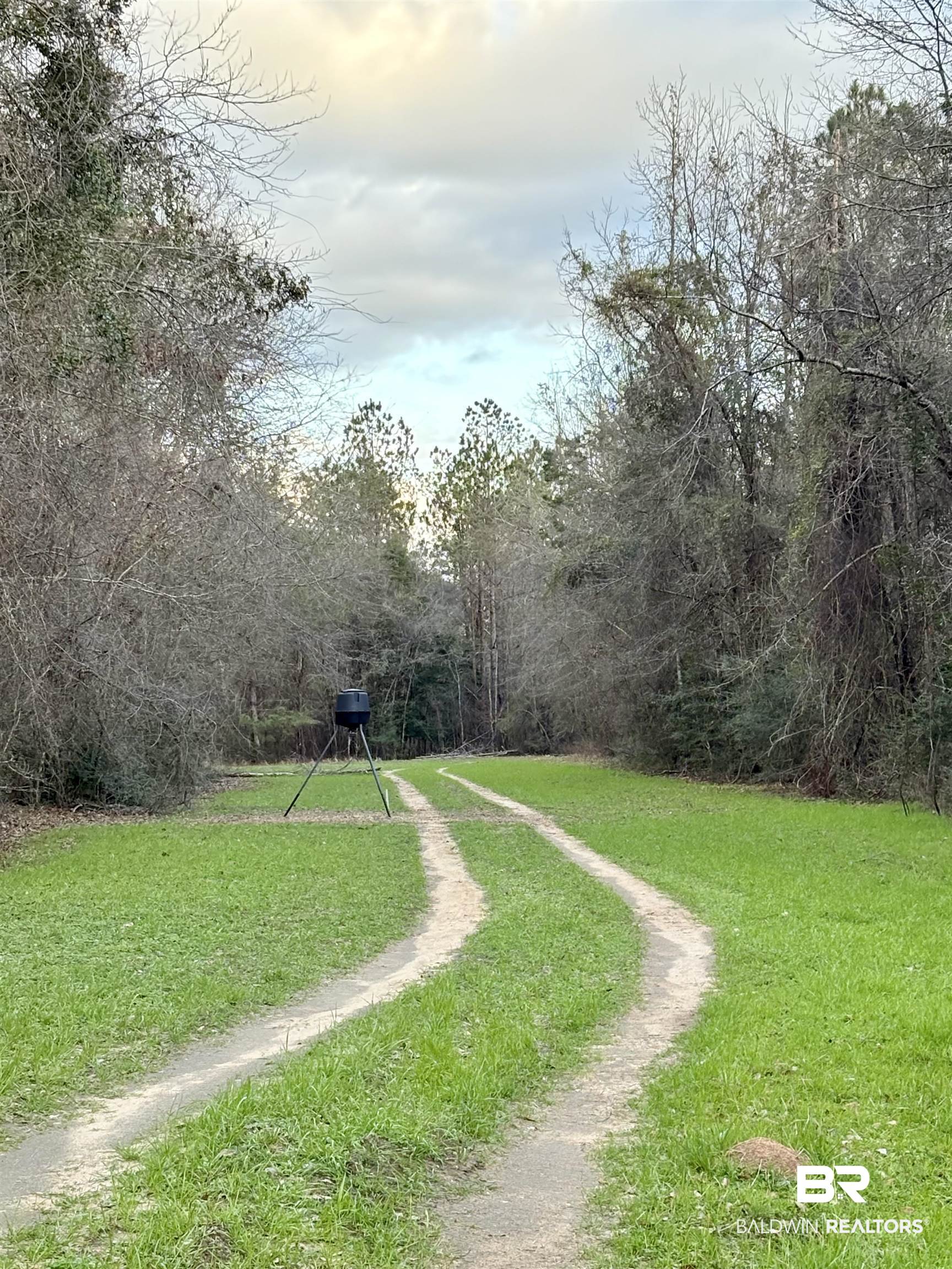 0 James Brooks Road Atmore, AL 36502 - Photo 8 of 16 View of road