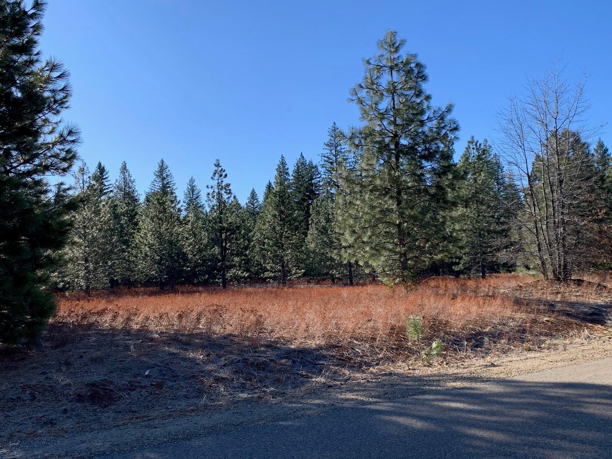 Lot 34 Princess Pine Place Shingletown, CA 96088 - Photo 3 of 9 a view of a yard
