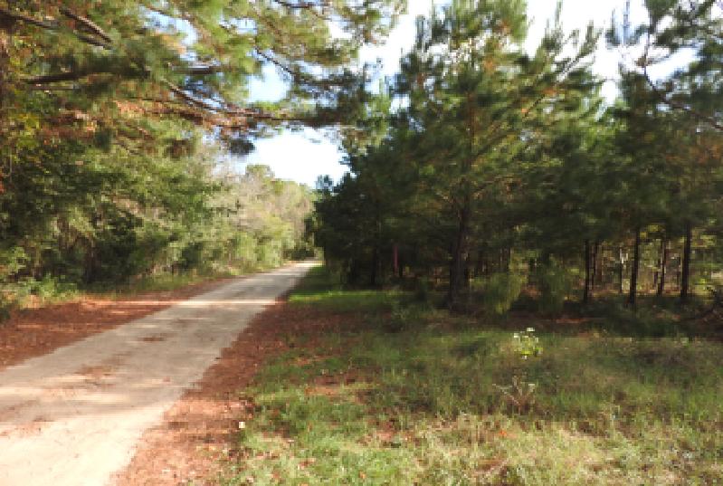 777 Shagule Road Edisto Island, SC 29438 - Photo 1 of 1 Shagule