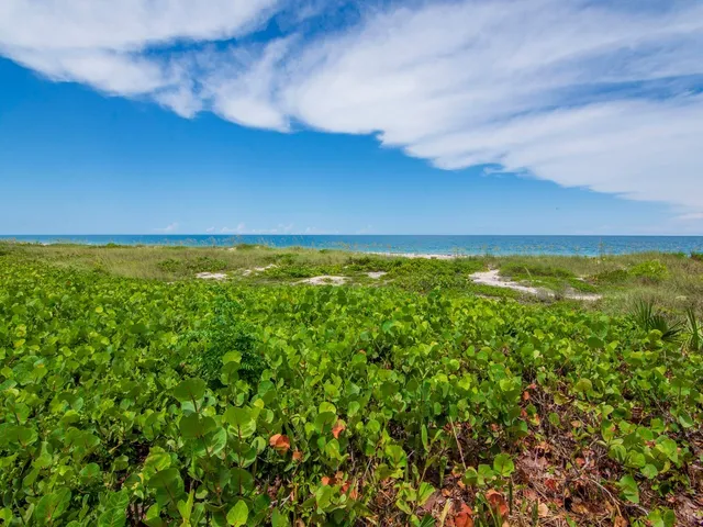 a view of a field with beach in background