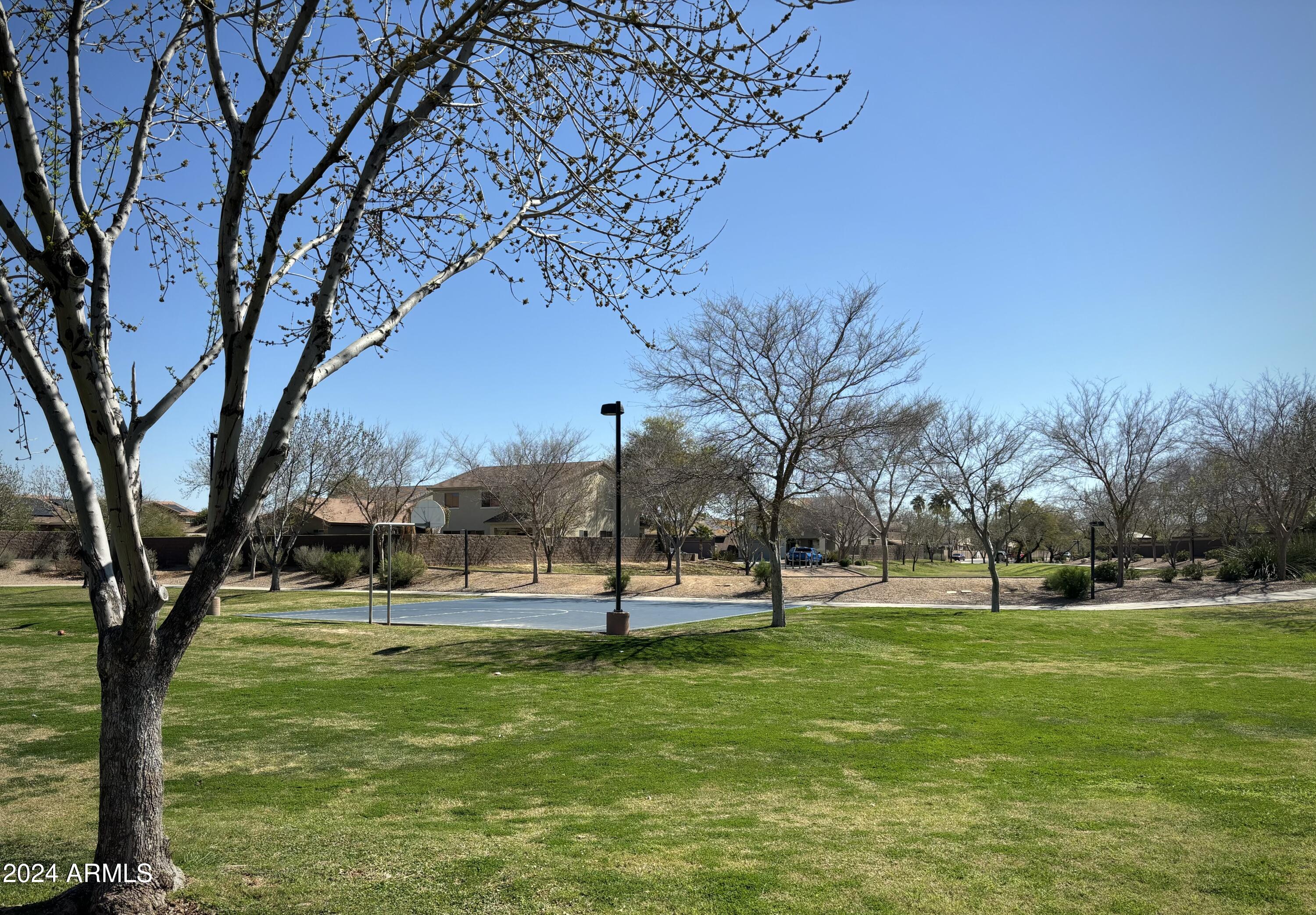 15074 West Bloomfield Road Surprise, AZ 85379 - Photo 38 of 42 Community Greenspace