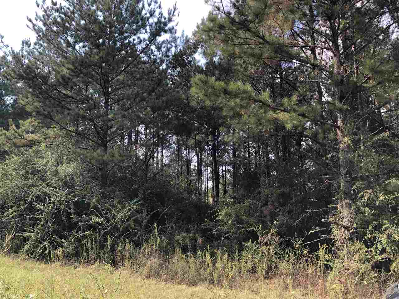 3 Ac /- Tower Road Uriah, AL 36480 - Photo 10 of 11 Gallery Image 10