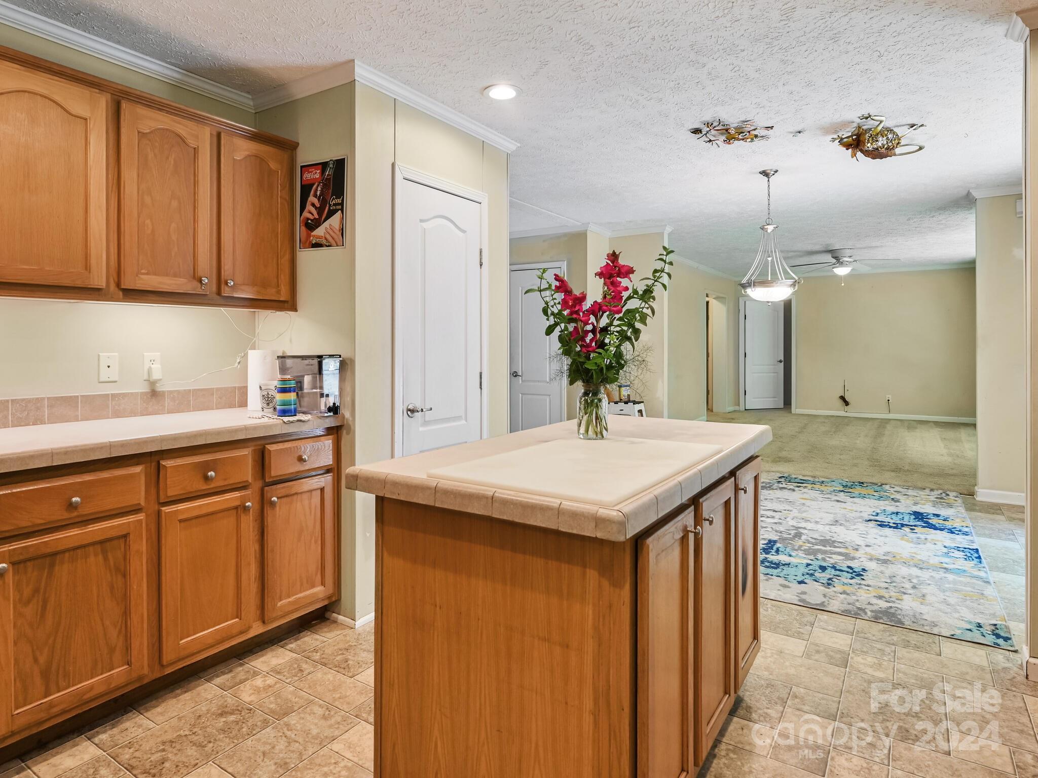 129 Glen View Road Arden, NC 28704 - Photo 5 of 25 Gallery Image 5
