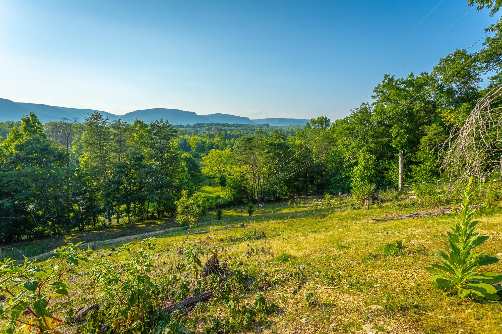 1240 Goose Pond Road Whitwell, TN 37397 - Photo 12 of 100 Gallery Image 12