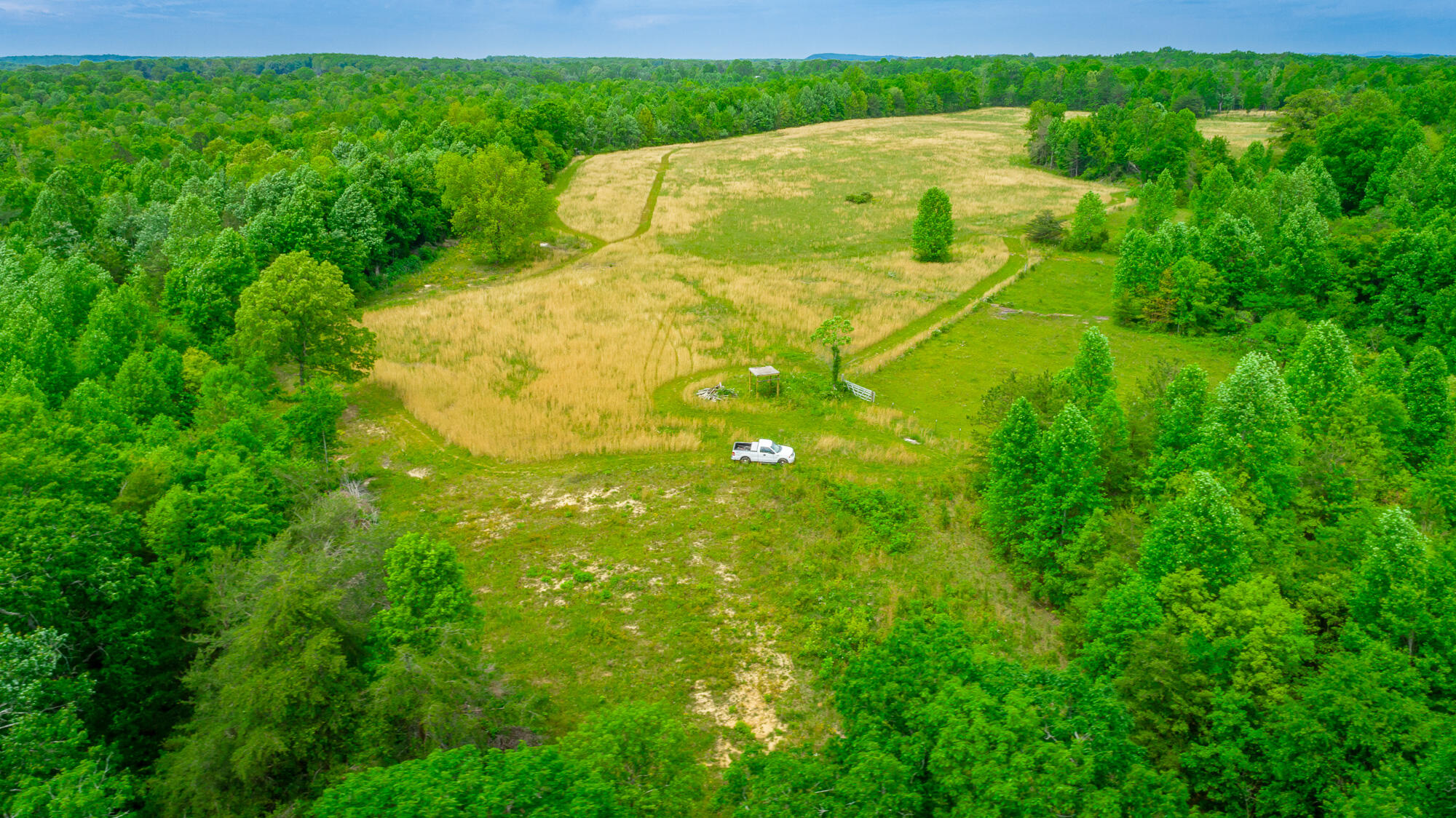 0 Ray Gadd Road Graysville, TN 37338 - Photo 89 of 109 Ray Gadd Road Lot HD-114