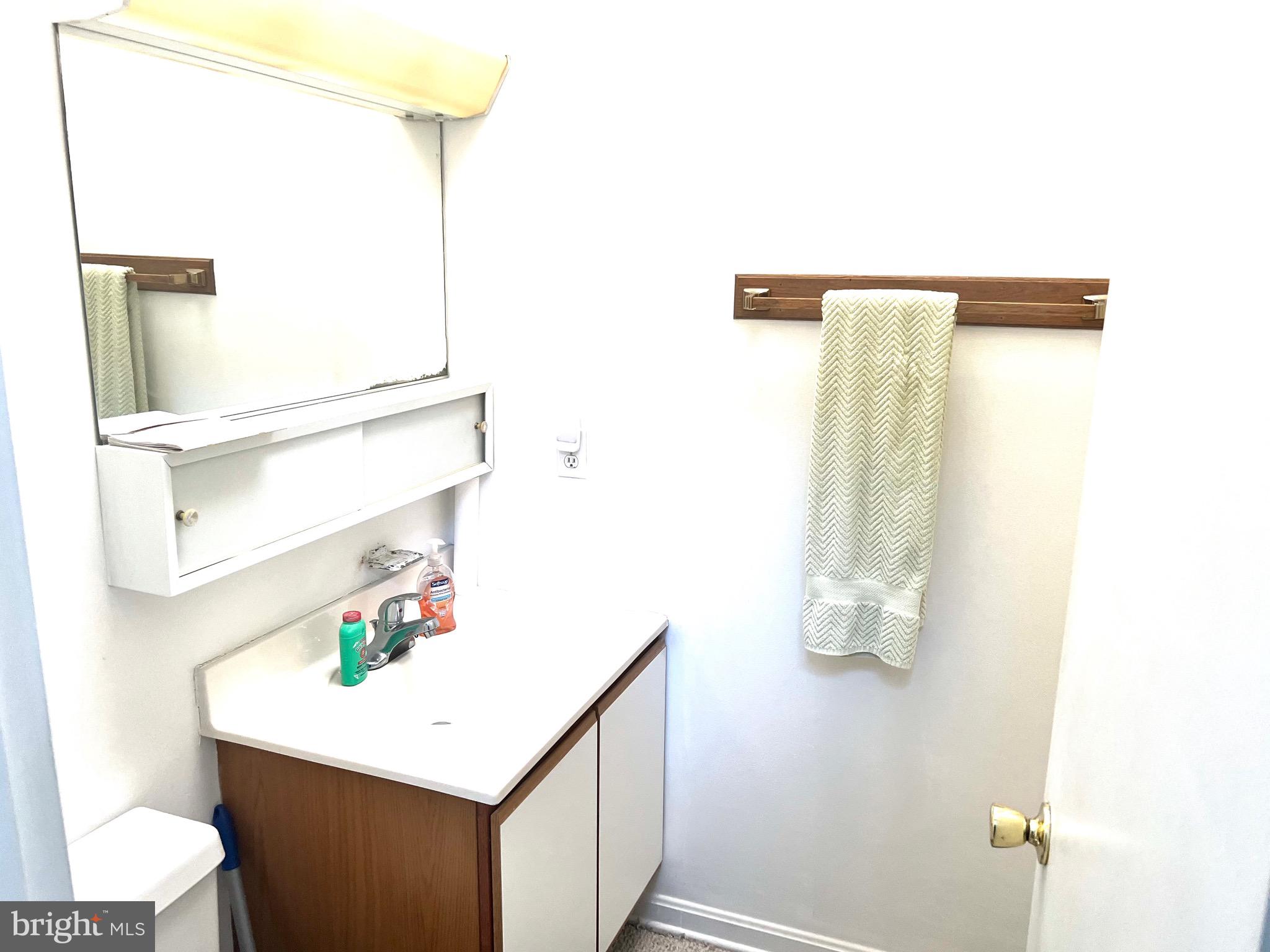 37 Hunters Point Millsboro, DE 19966 - Photo 14 of 38 a bathroom with a sink a mirror and vanity