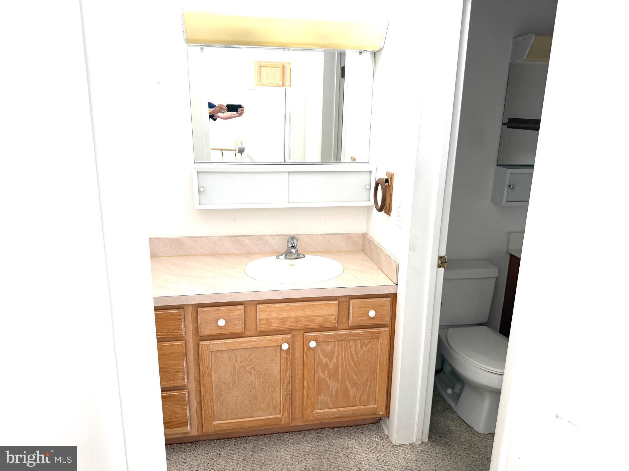 37 Hunters Point Millsboro, DE 19966 - Photo 32 of 38 a bathroom with a sink and a vanity
