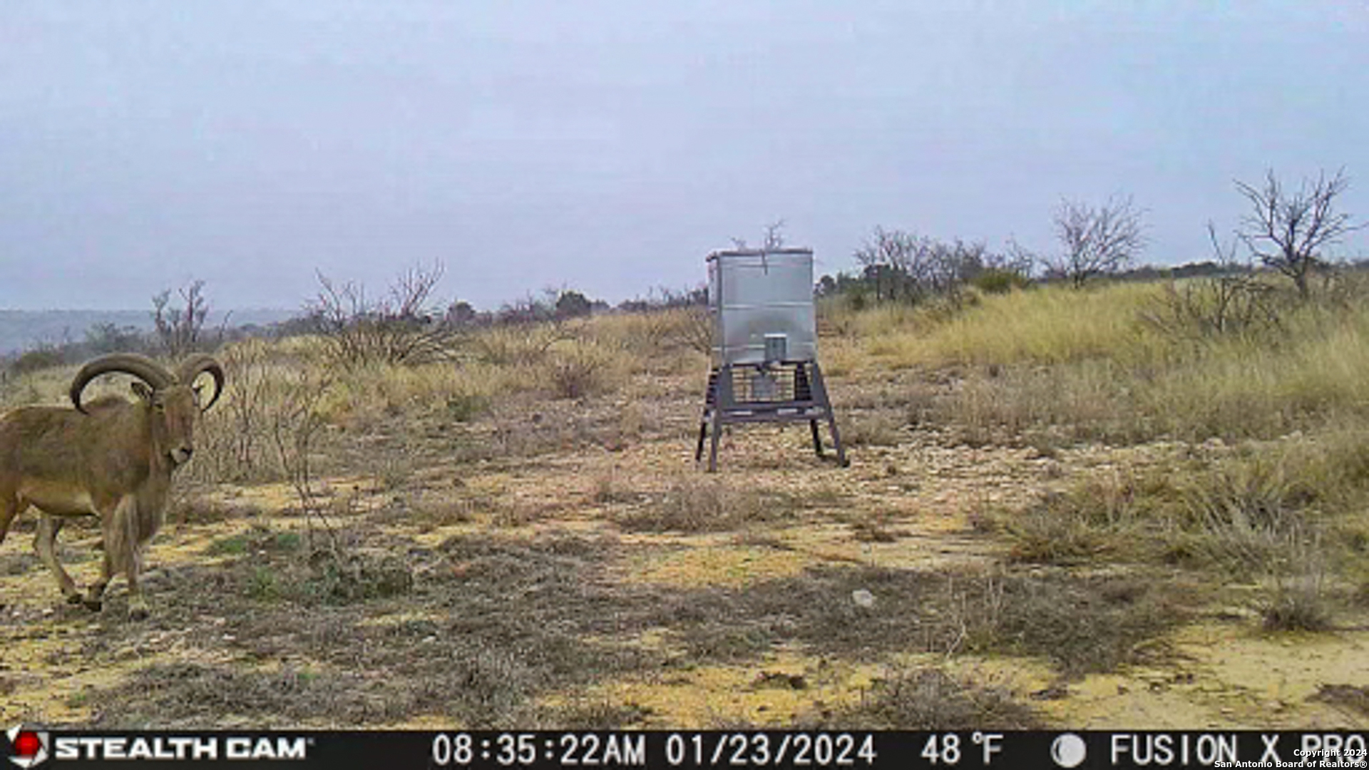 0 Kincaid Road Ozona, TX 76943 - Photo 24 of 41