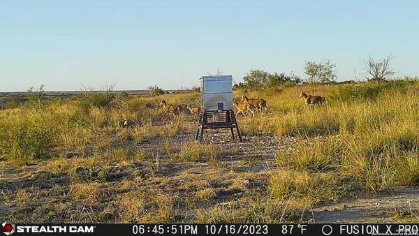 $2,750,000 | 0 Kincaid Road, Ozona, TX 76943