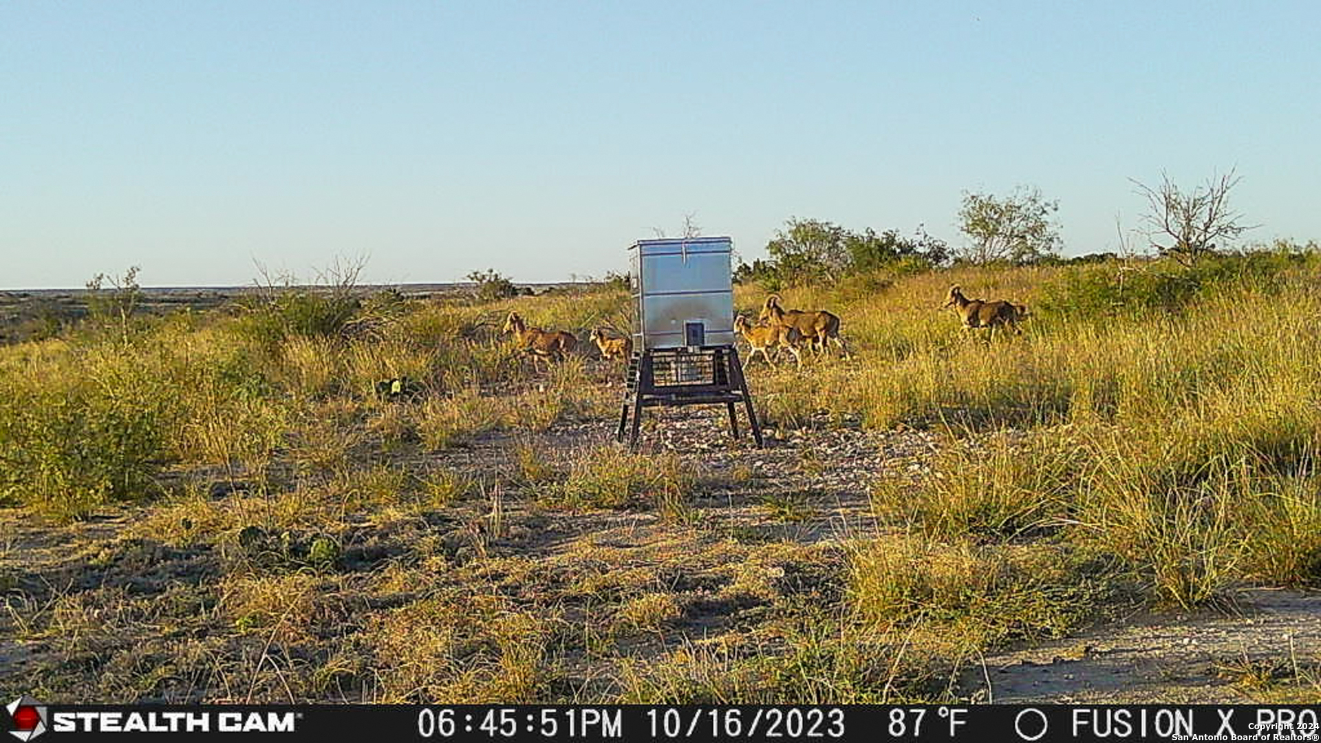 0 Kincaid Road Ozona, TX 76943 - Photo 26 of 41
