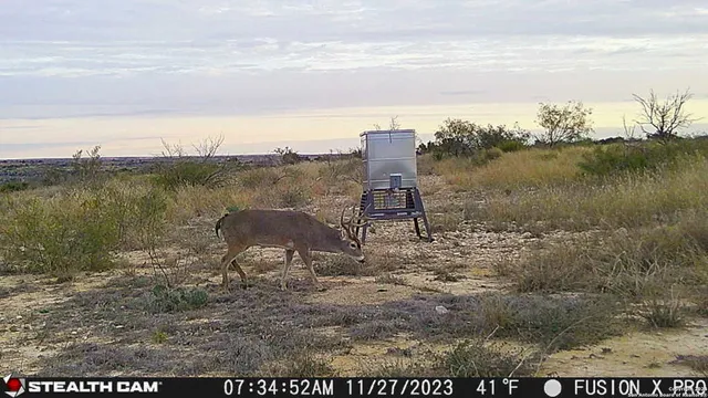 $2,750,000 | 0 Kincaid Road, Ozona, TX 76943